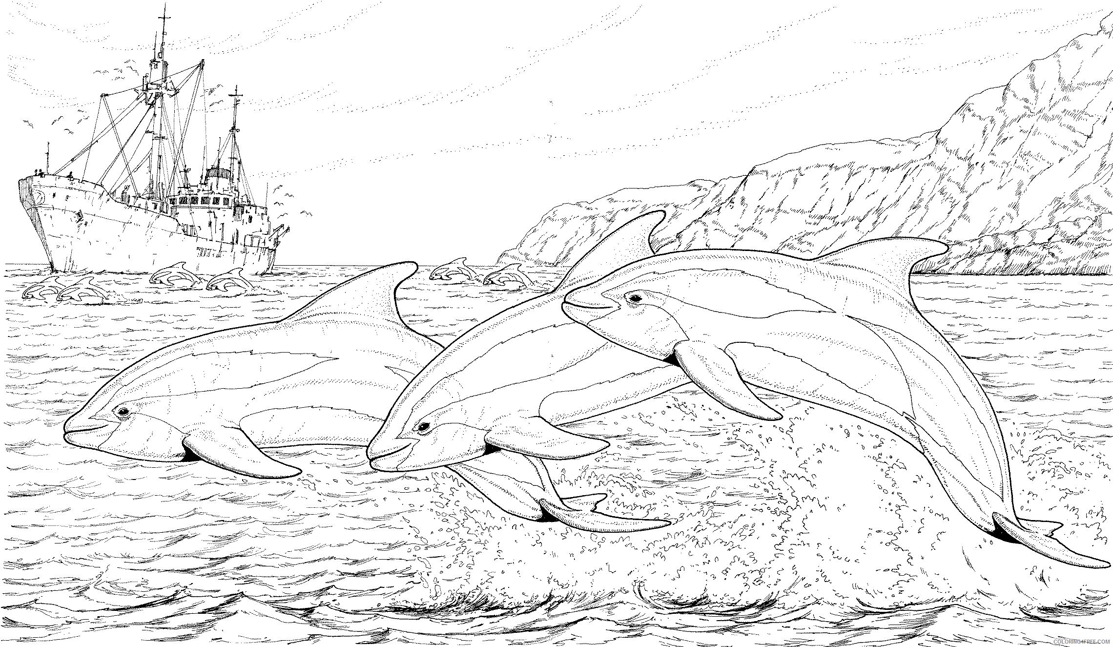 dolphin coloring pages for adults Coloring4free