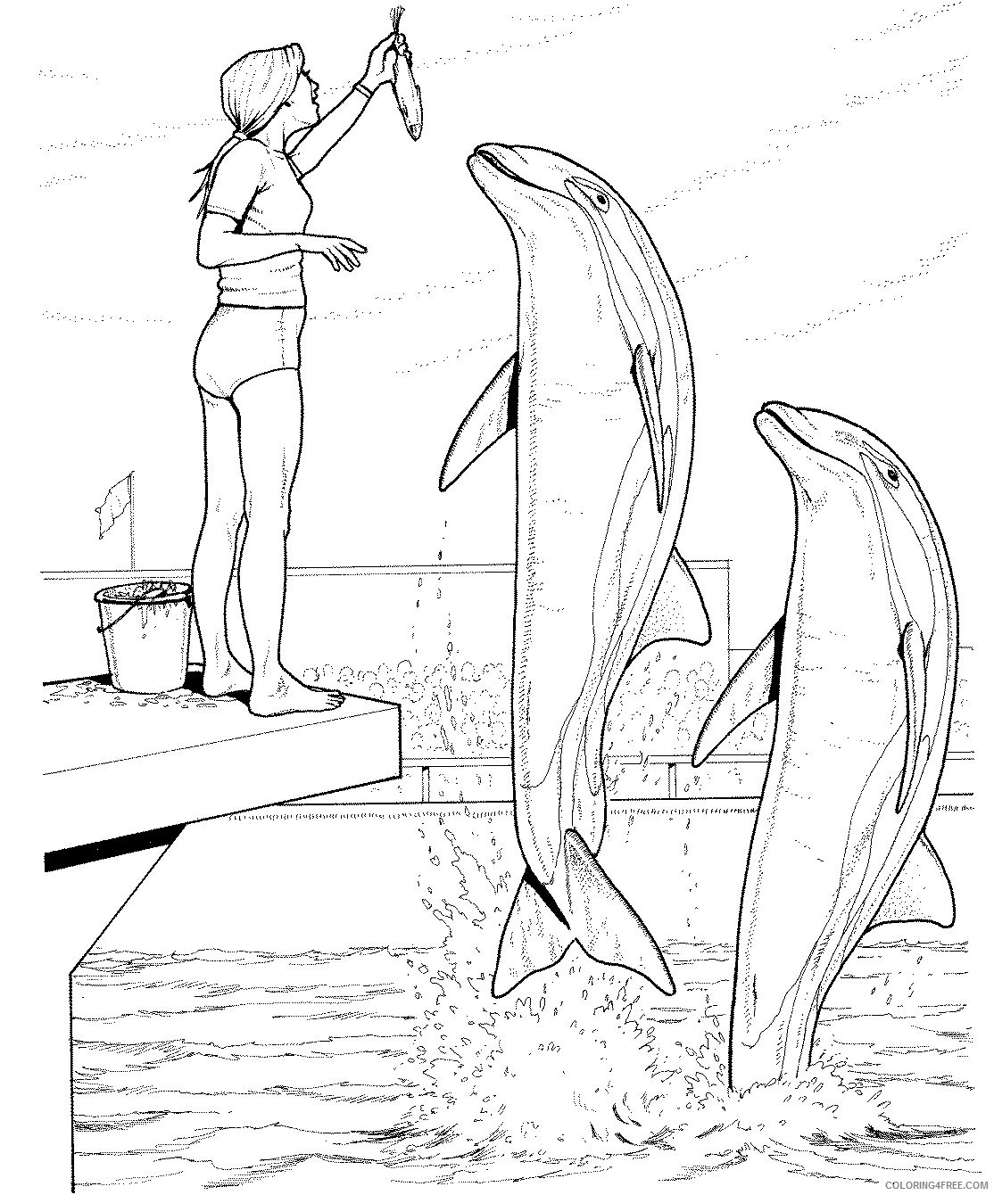 dolphin training coloring pages Coloring4free