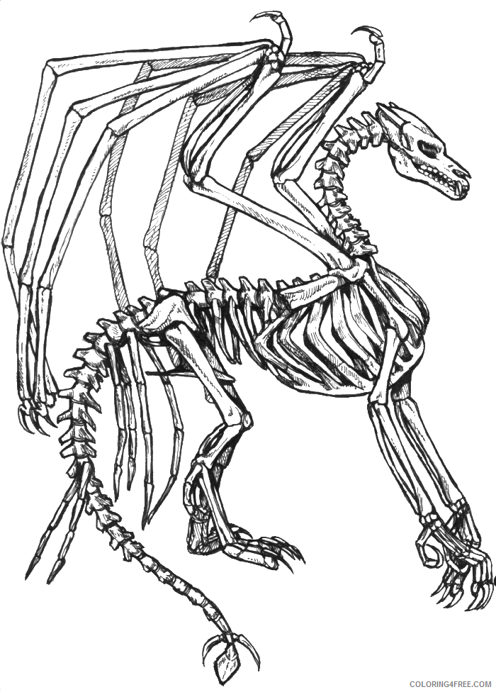 dragon skeleton coloring pages Coloring4free