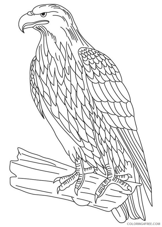 eagle coloring pages printable Coloring4free
