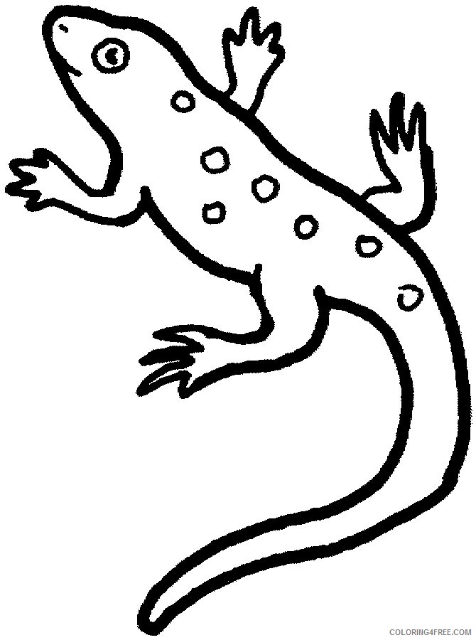 easy lizard coloring pages Coloring4free