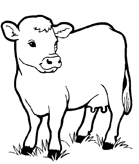 farm animal coloring pages cow Coloring4free