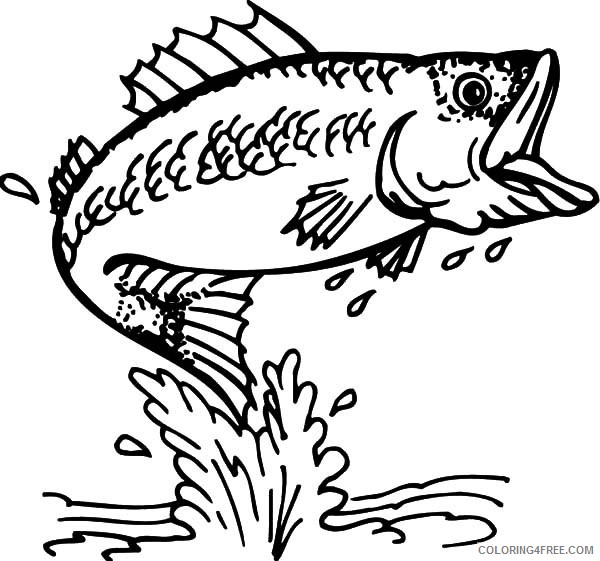 fish coloring pages bass fish Coloring4free
