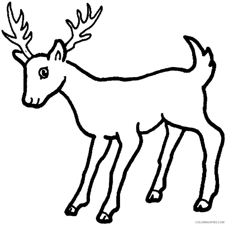 free deer coloring pages for kids Coloring4free