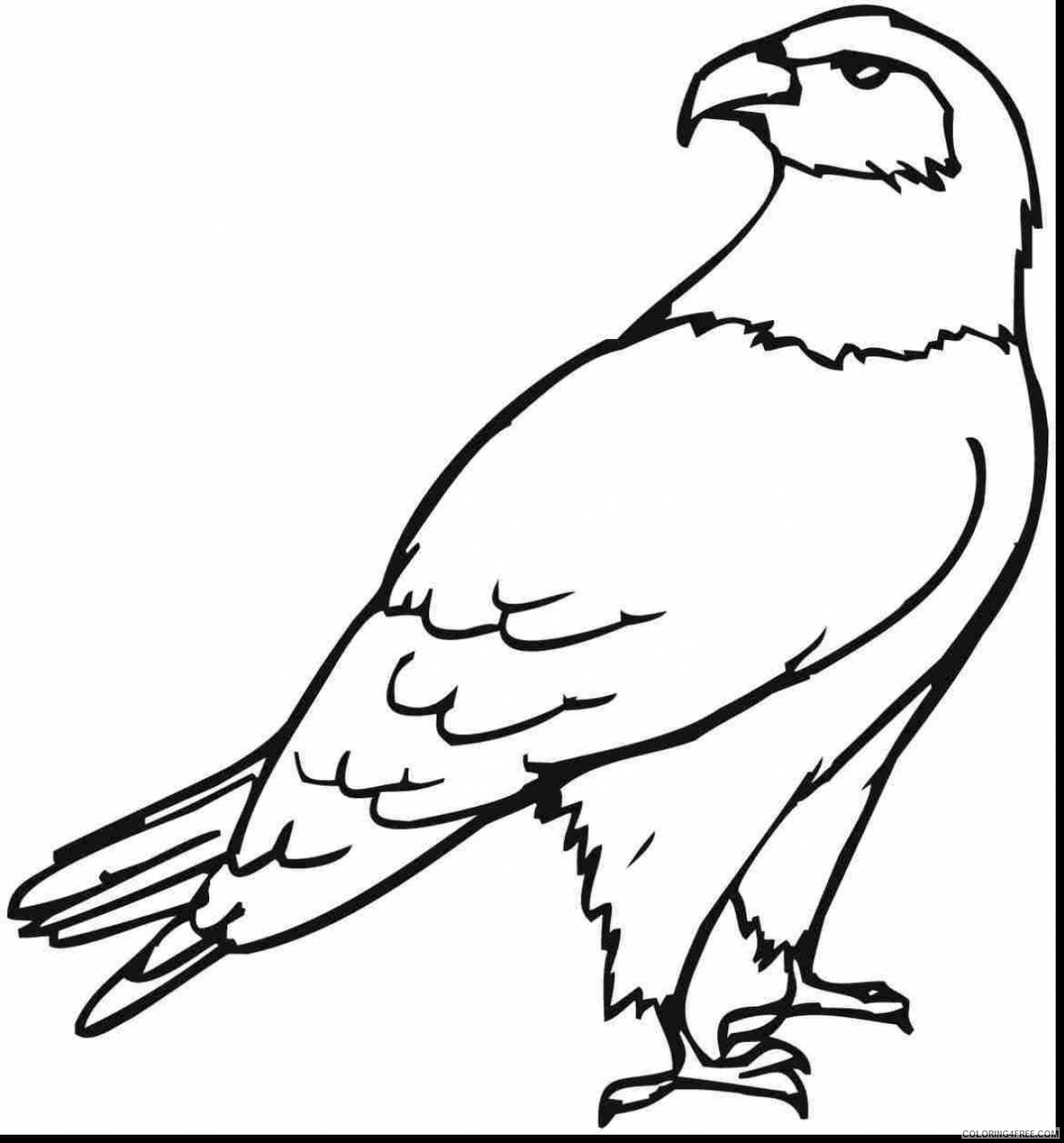 free eagle coloring pages for kids Coloring4free
