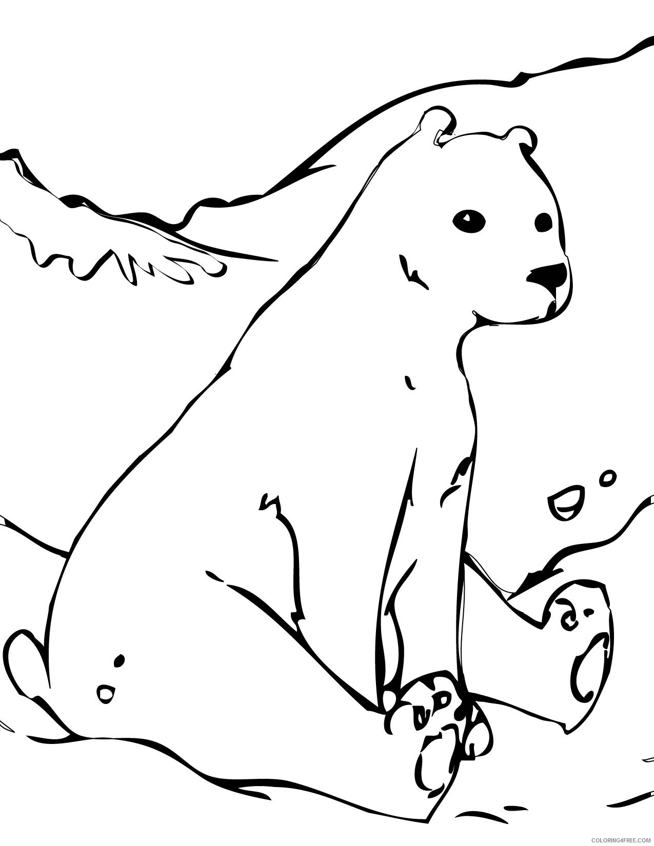 free polar bear coloring pages for kids Coloring4free