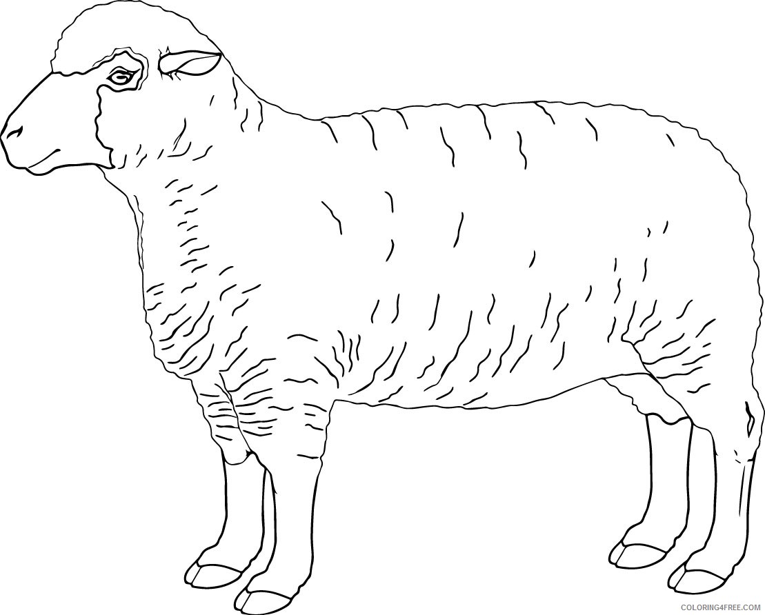 free sheep coloring pages to print Coloring4free