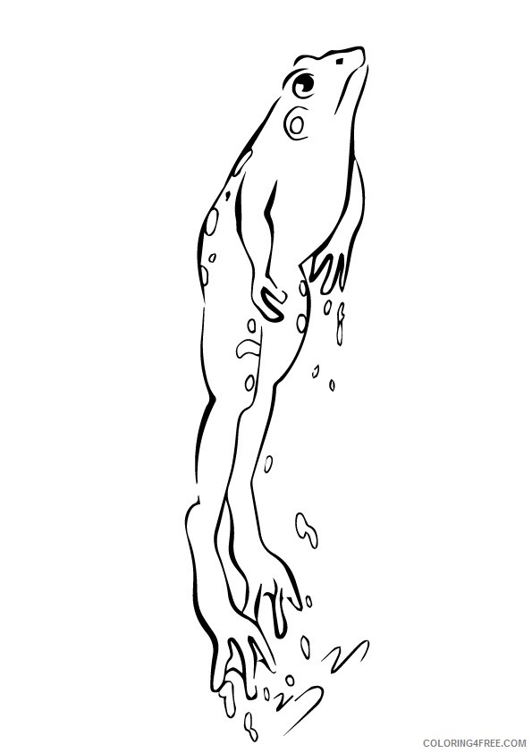 frog coloring pages jumping out of water Coloring4free