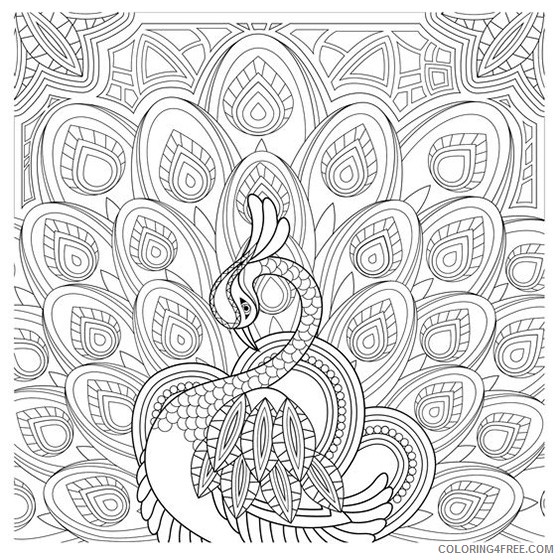 grown up coloring pages beautiful peacock Coloring4free