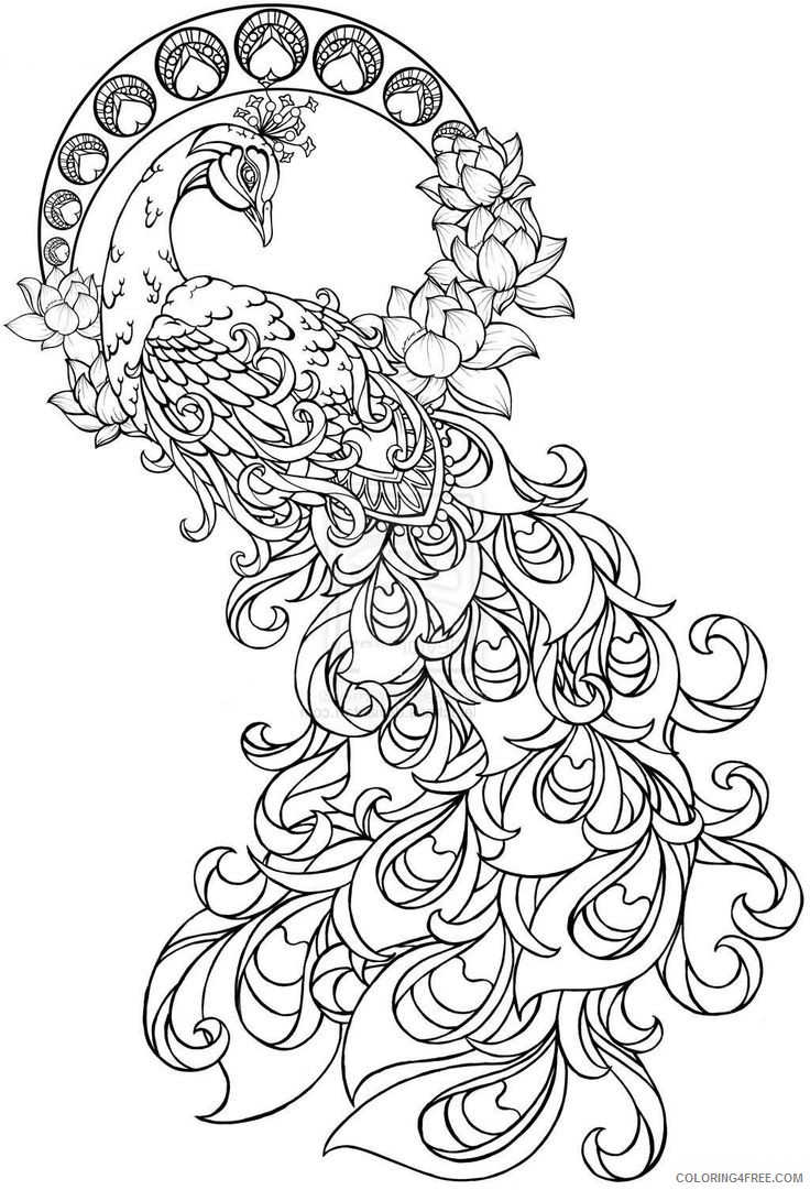 grown up coloring pages peacock Coloring4free
