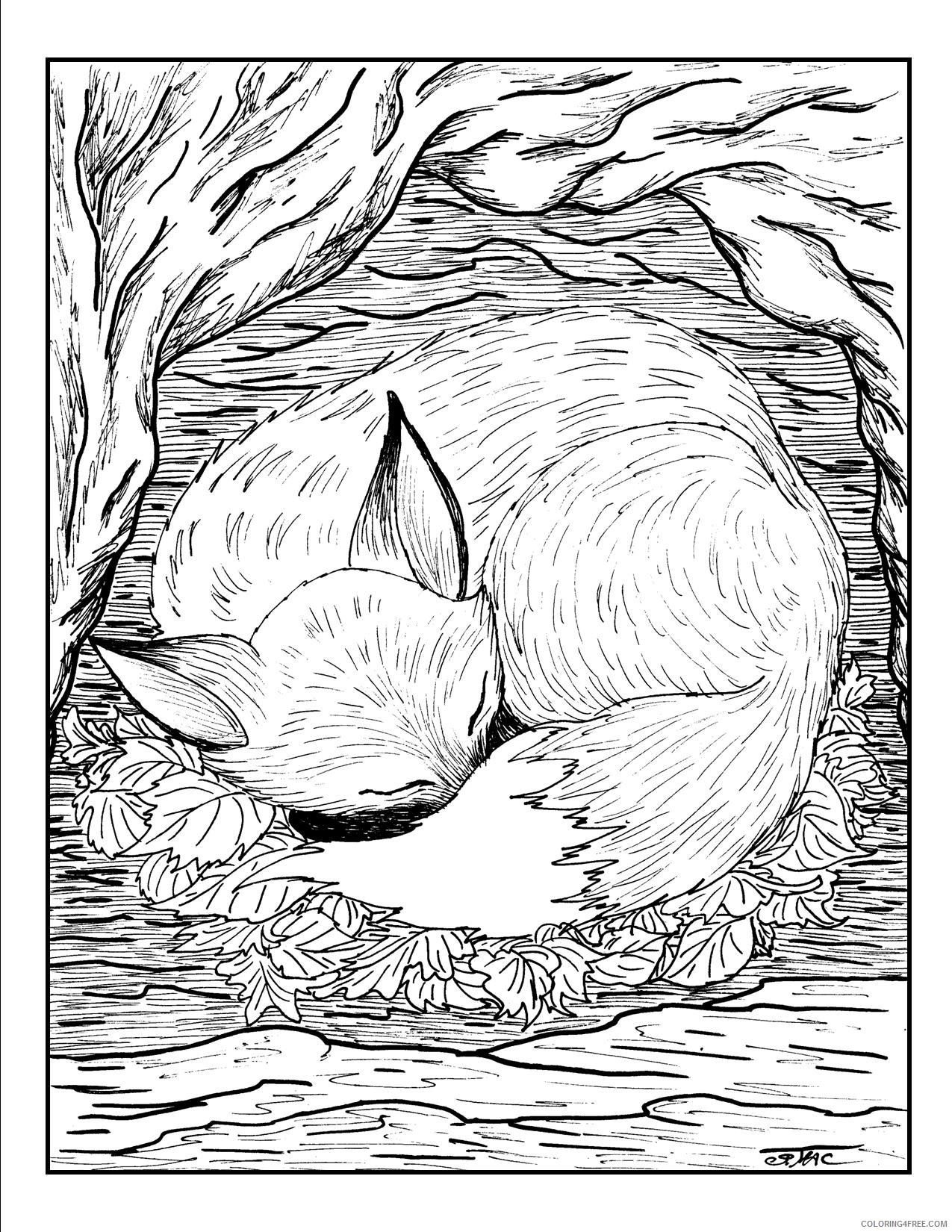 grown up coloring pages red fox sleeping Coloring4free