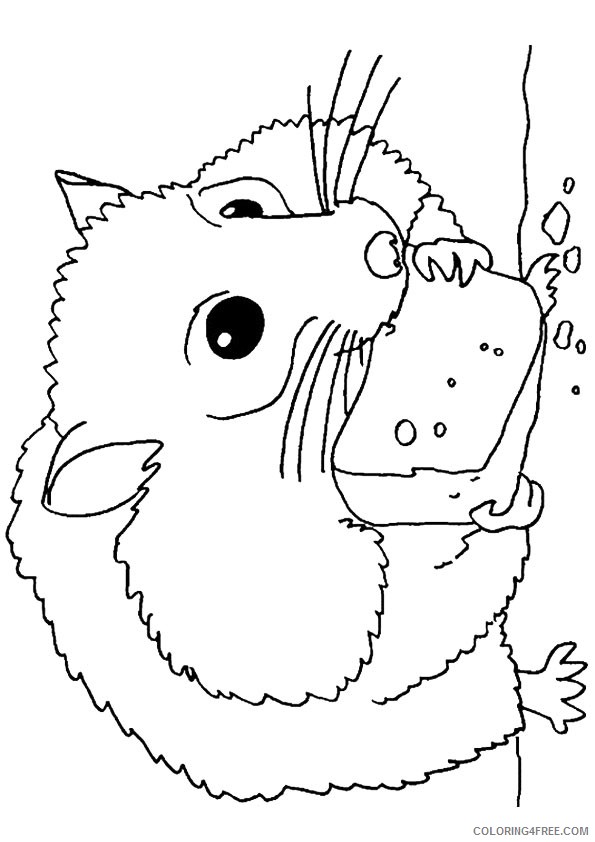 hamster coloring pages eating cheese Coloring4free