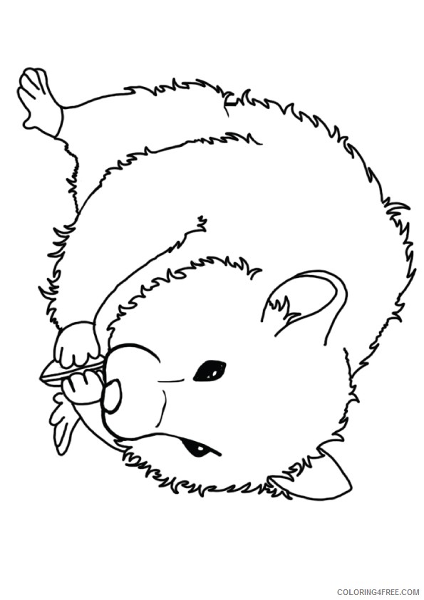 hamster coloring pages seating sunflower seeds Coloring4free