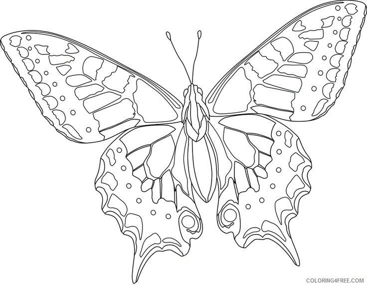 hard butterfly coloring pages for kids Coloring4free