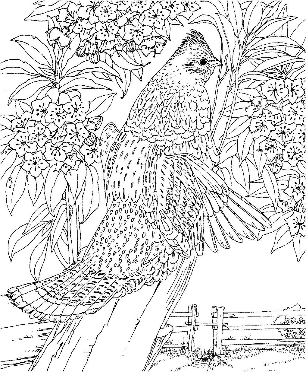 hard coloring pages of animals Coloring4free