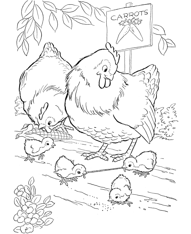 hen and chicken coloring pages Coloring4free