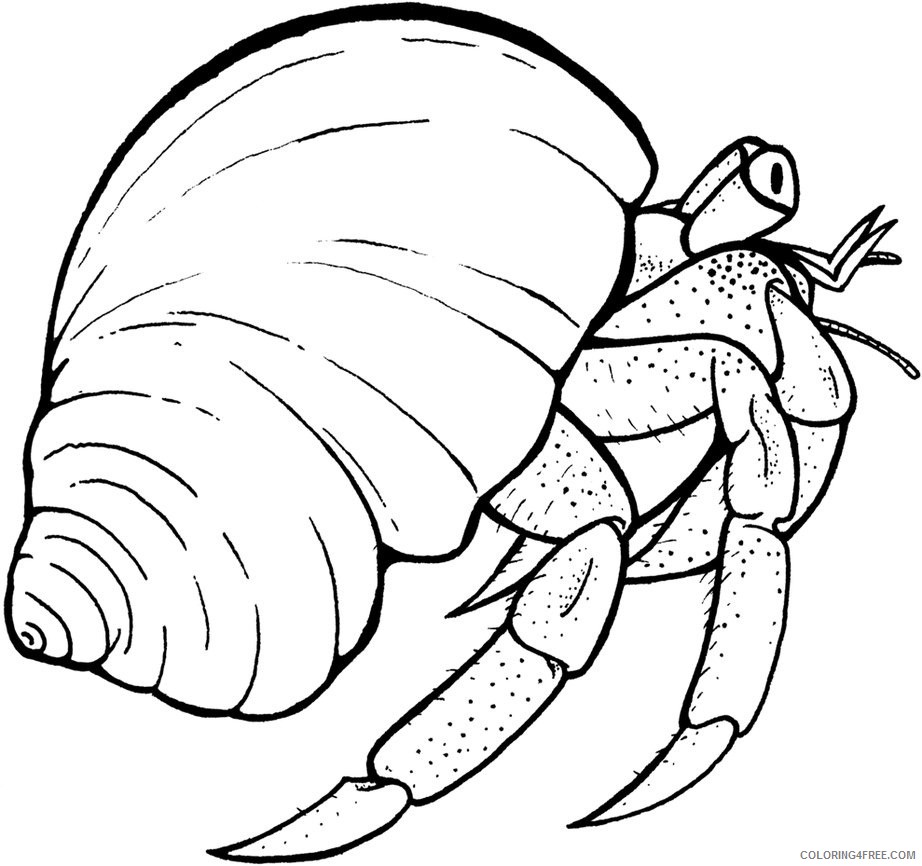 hermit crab coloring pages to print Coloring4free