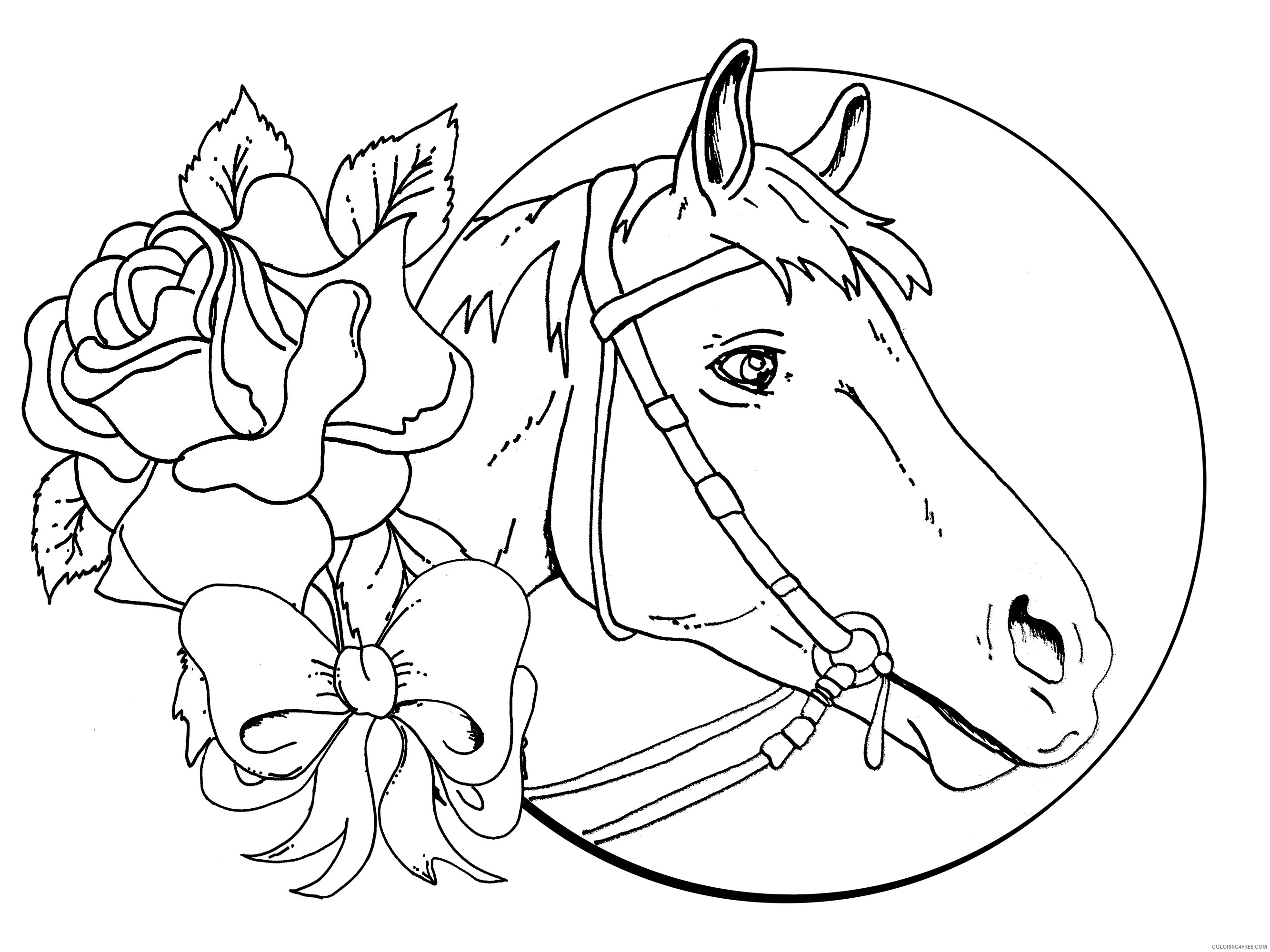 horse coloring pages for girls Coloring4free