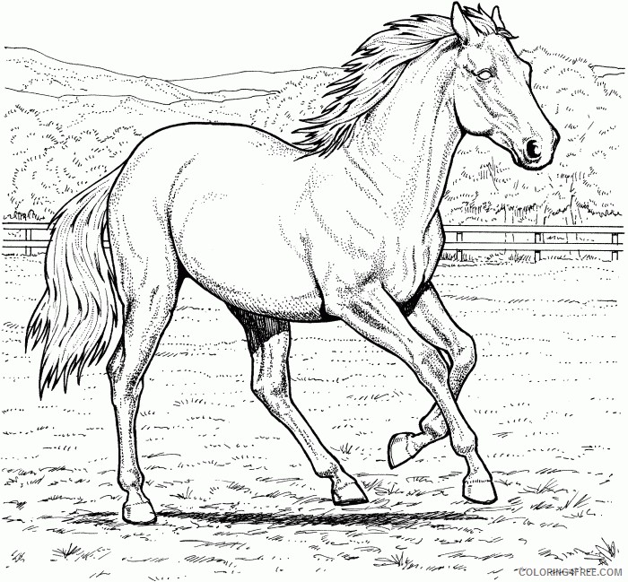 horse coloring pages running Coloring4free