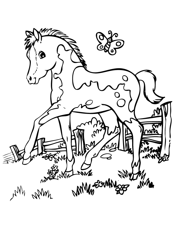 horse coloring pages with butterfly Coloring4free