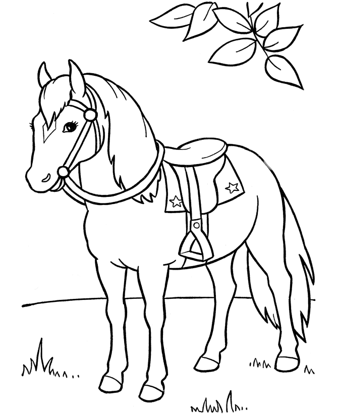 horse coloring pages with paddle Coloring4free
