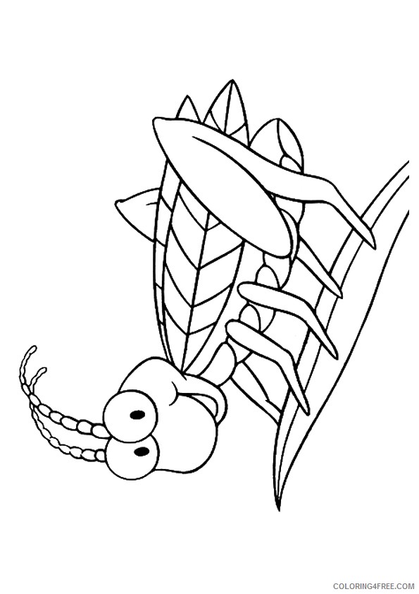 insect coloring pages cute grasshopper Coloring4free
