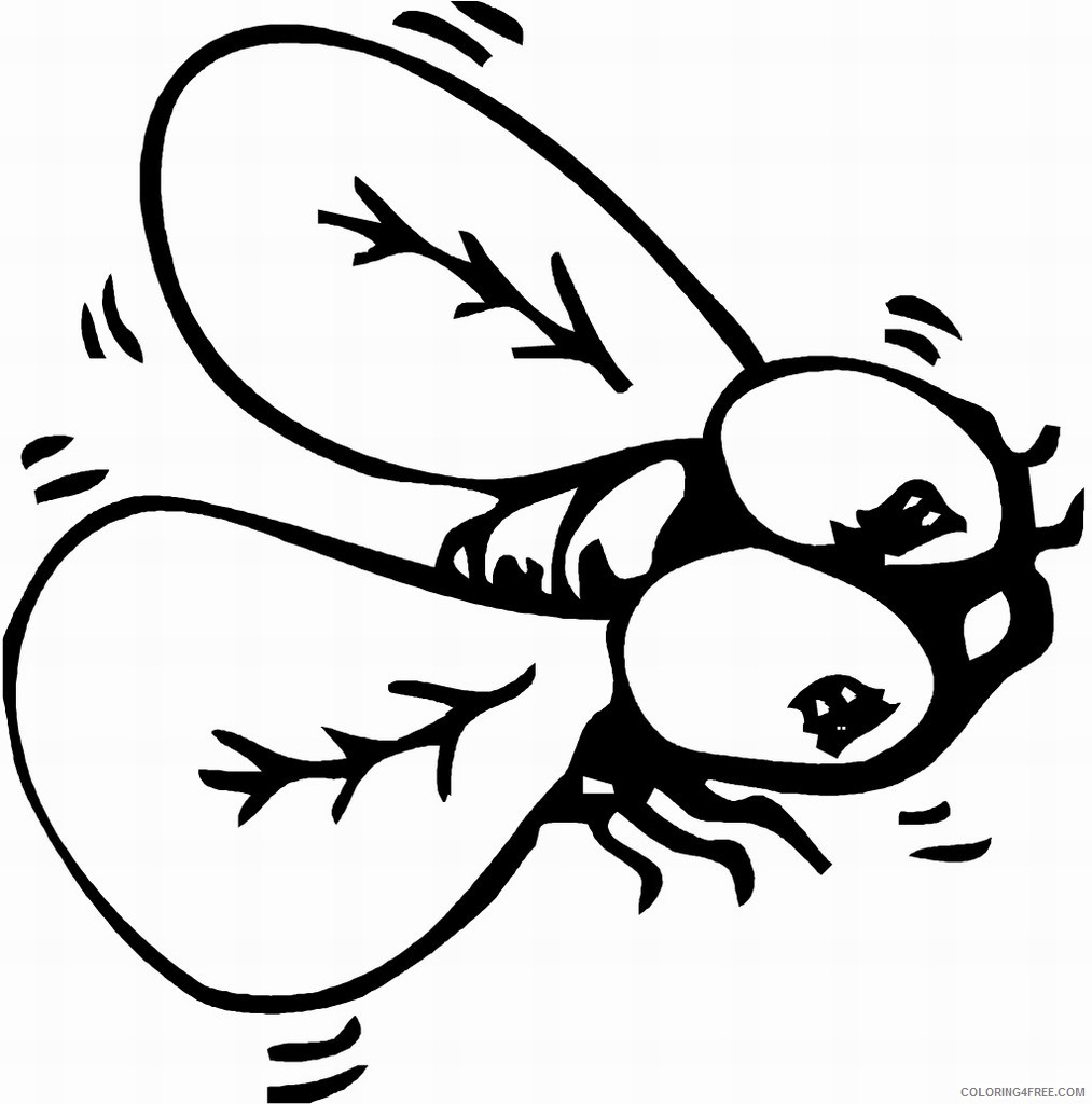 insect coloring pages fly Coloring4free