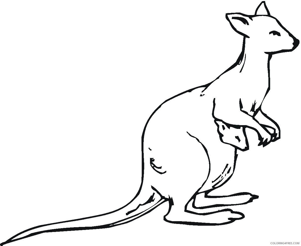 kangaroo coloring pages and joey Coloring4free