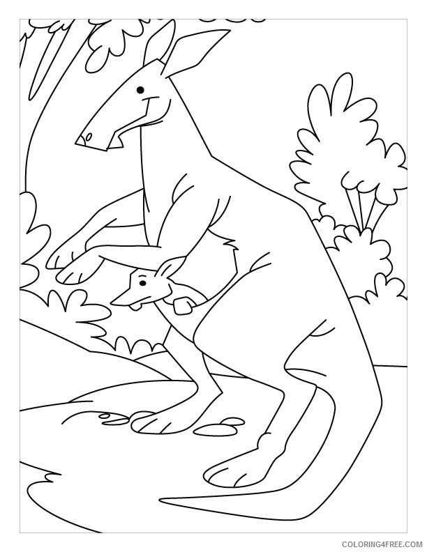 kangaroo coloring pages for kindergarten Coloring4free