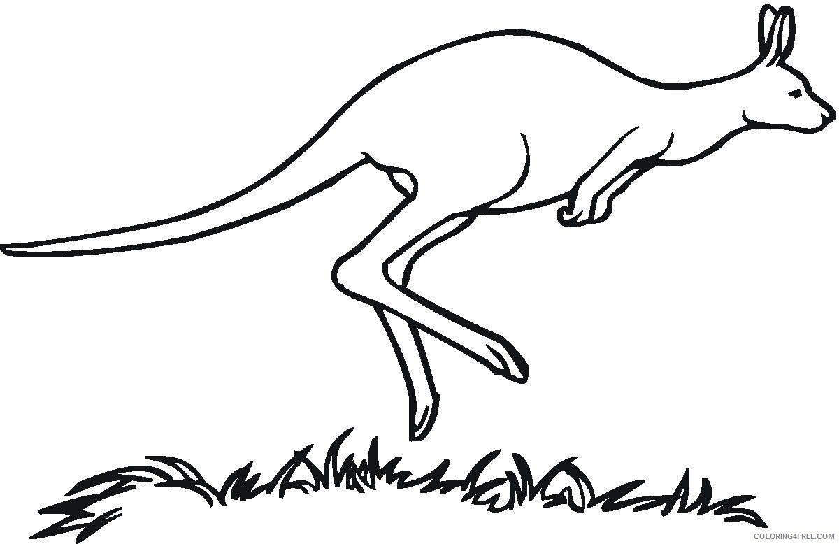 kangaroo coloring pages jumping Coloring4free