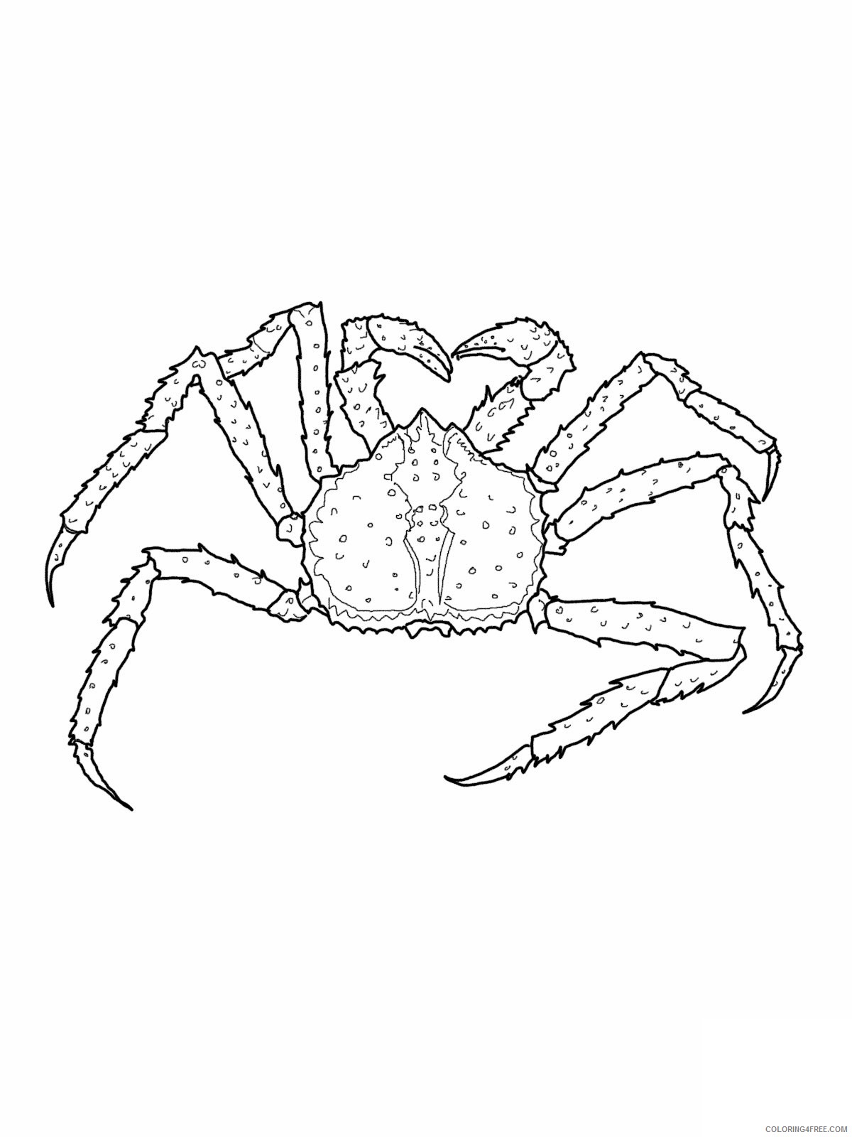 king crab coloring pages printable Coloring4free