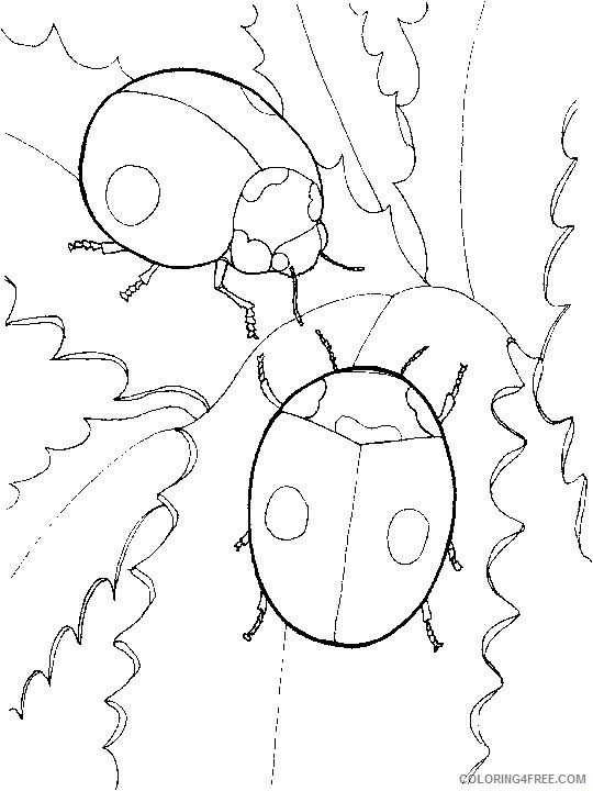 ladybug coloring pages couple Coloring4free