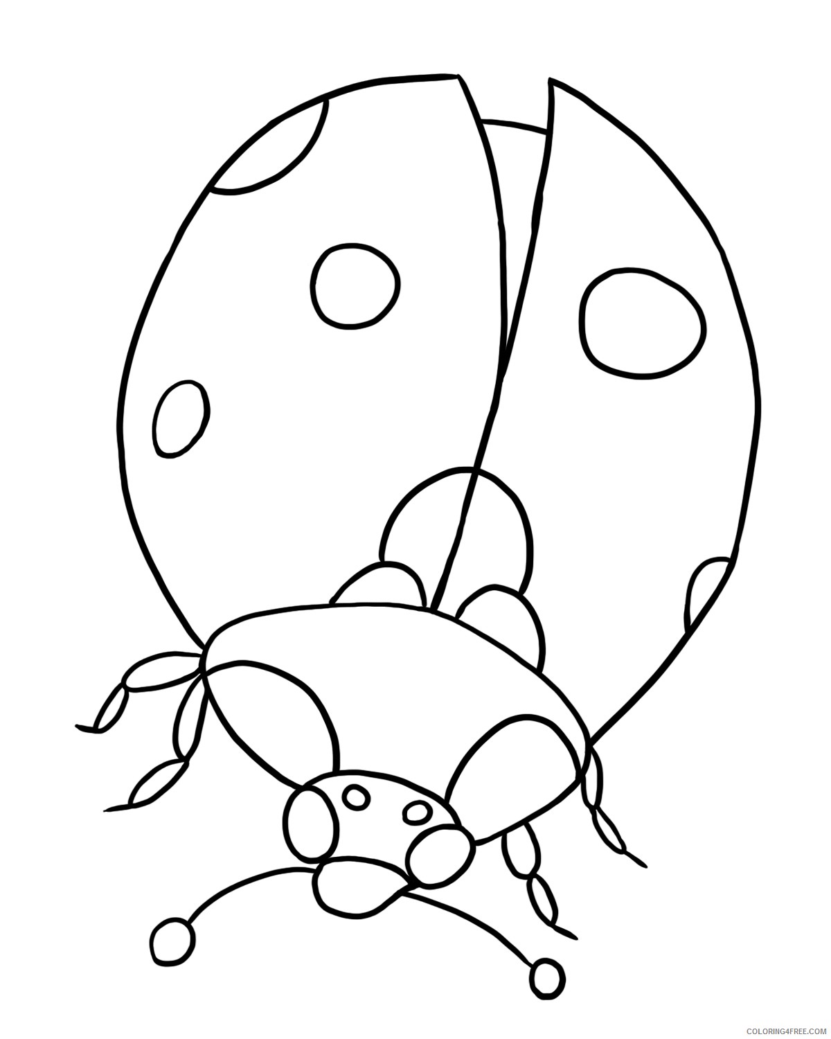 ladybug coloring pages to print Coloring4free