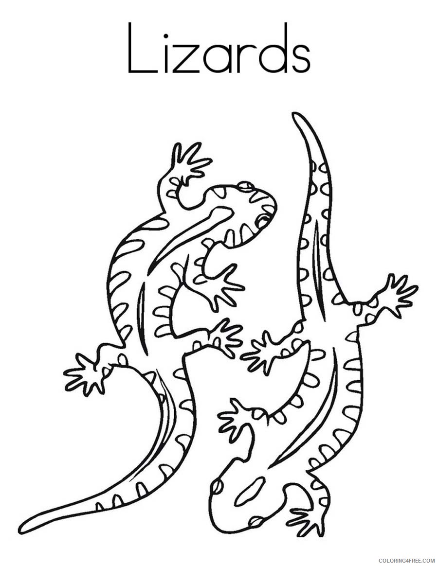 lizard coloring pages two lizards Coloring4free