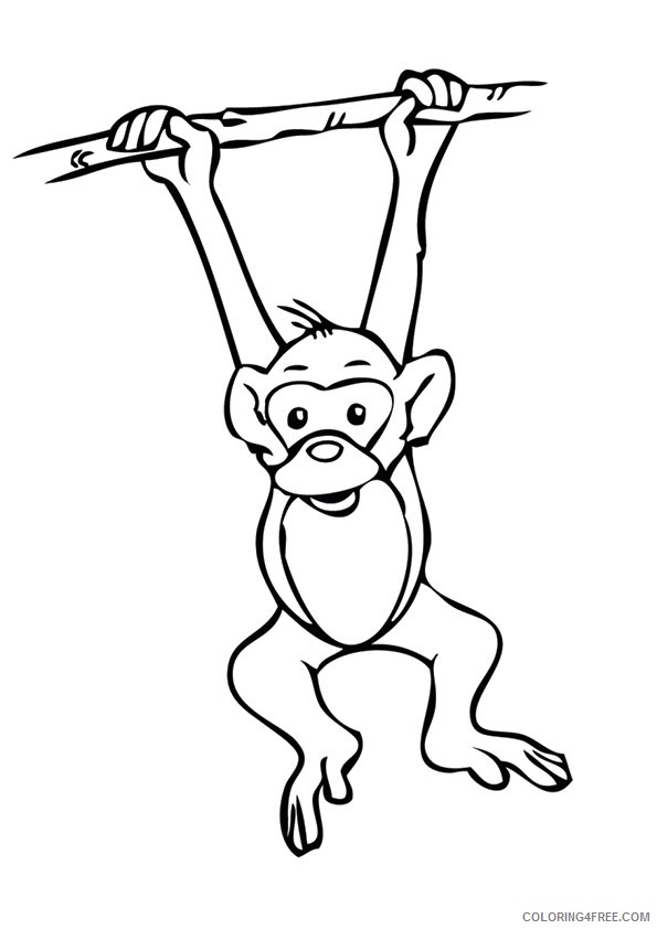 monkey coloring pages hanging from tree Coloring4free