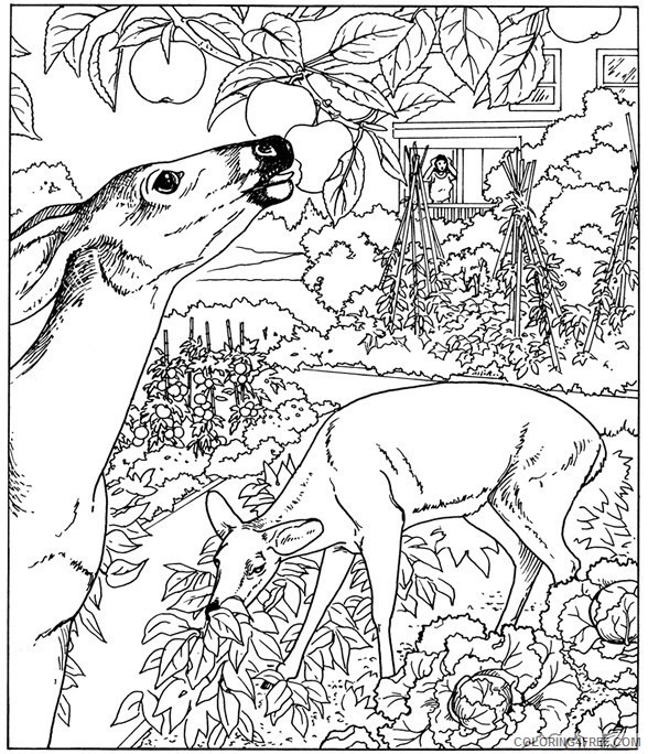 nature coloring pages deer in jungle Coloring4free