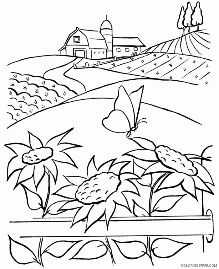 nature coloring pages with sunflowers Coloring4free