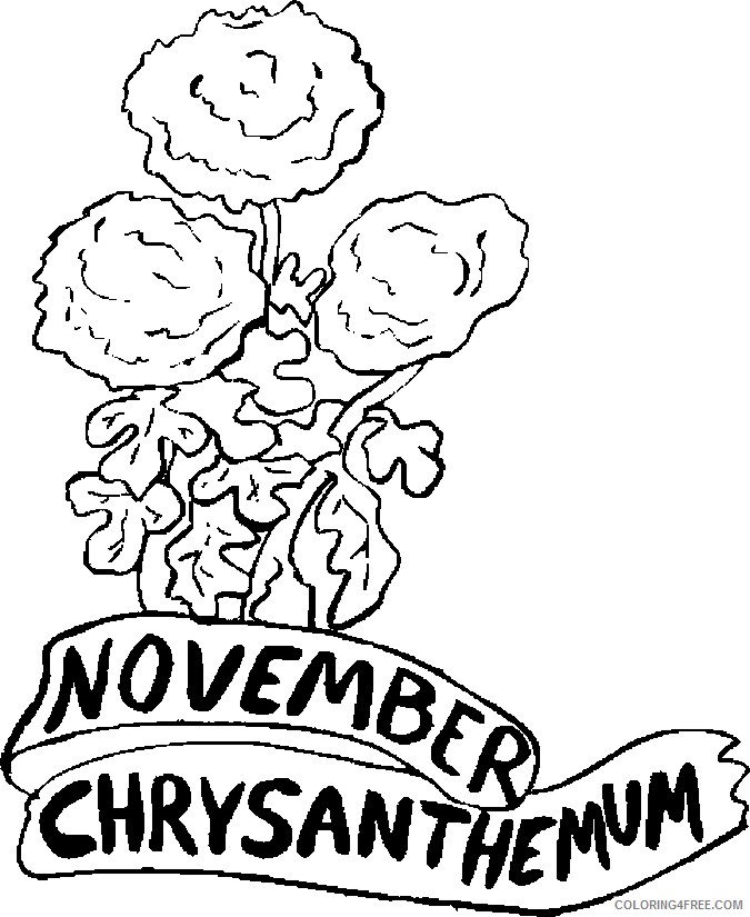 november coloring pages chrysanthemum Coloring4free
