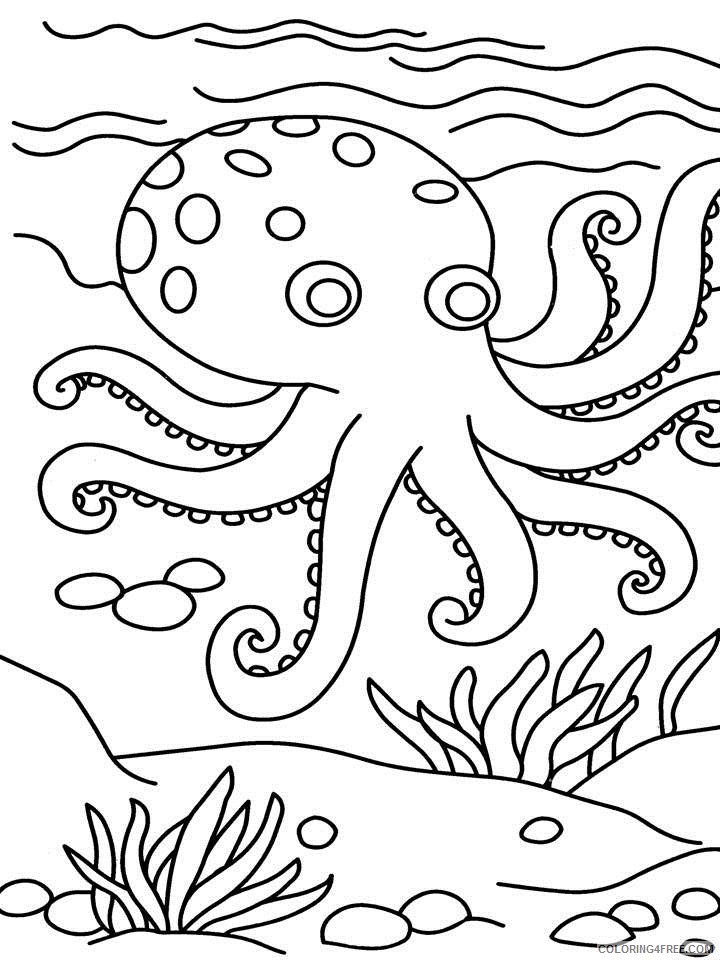 octopus coloring pages for kindergarten Coloring4free