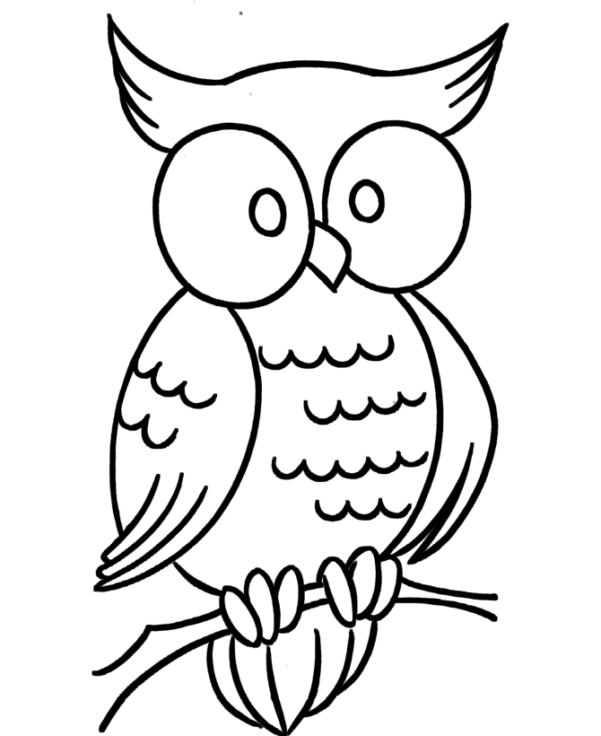 owl coloring pages for kids Coloring4free