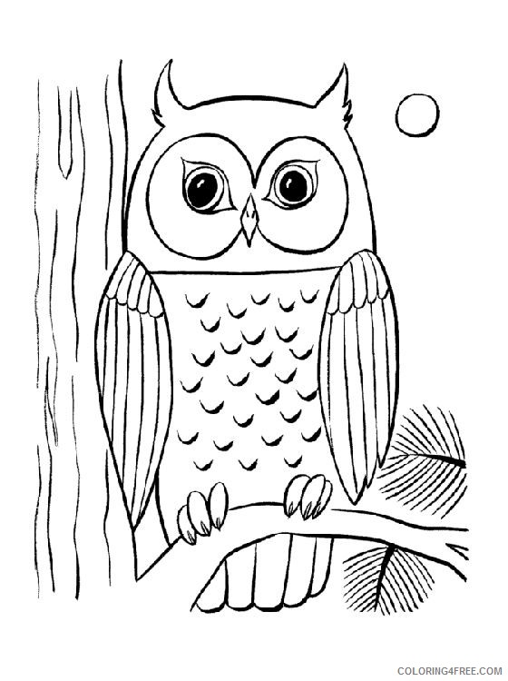 owl coloring pages night moon Coloring4free