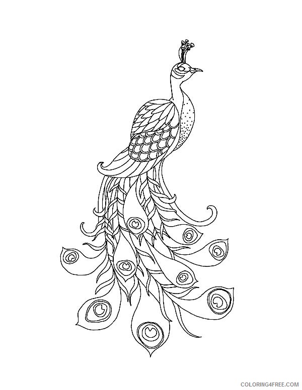 peacock bird coloring pages to print Coloring4free