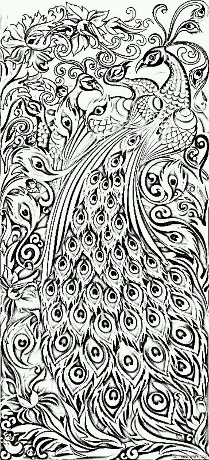 peacock coloring pages difficult for adults Coloring4free