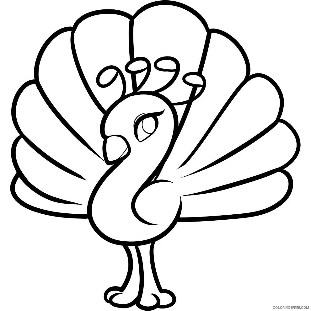 peacock coloring pages for kids Coloring4free