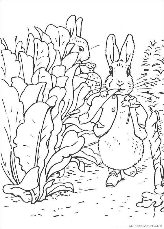 peter rabbit coloring pages Coloring4free