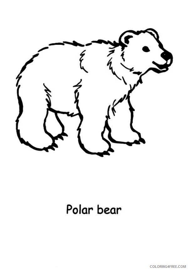 polar bear coloring pages printable for kids Coloring4free