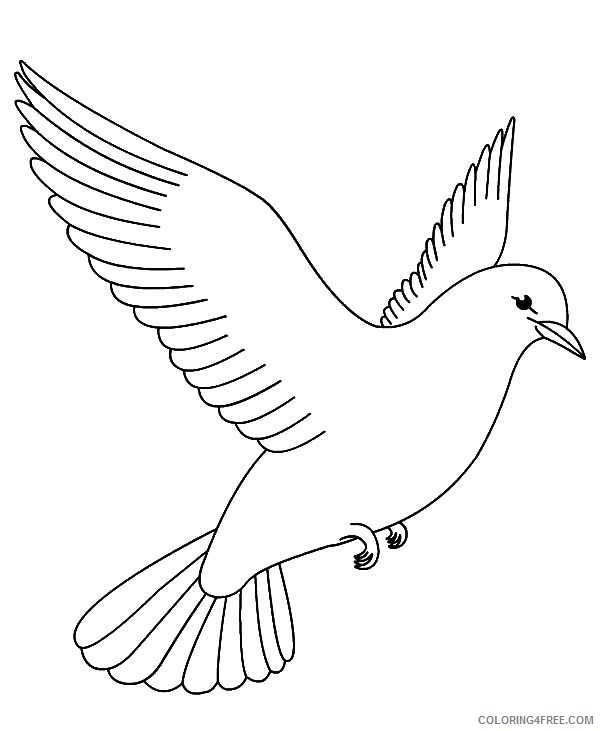 printable bird coloring pages for kids Coloring4free