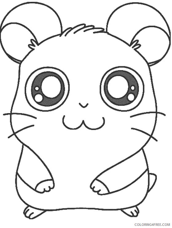printable hamster coloring pages for kids Coloring4free