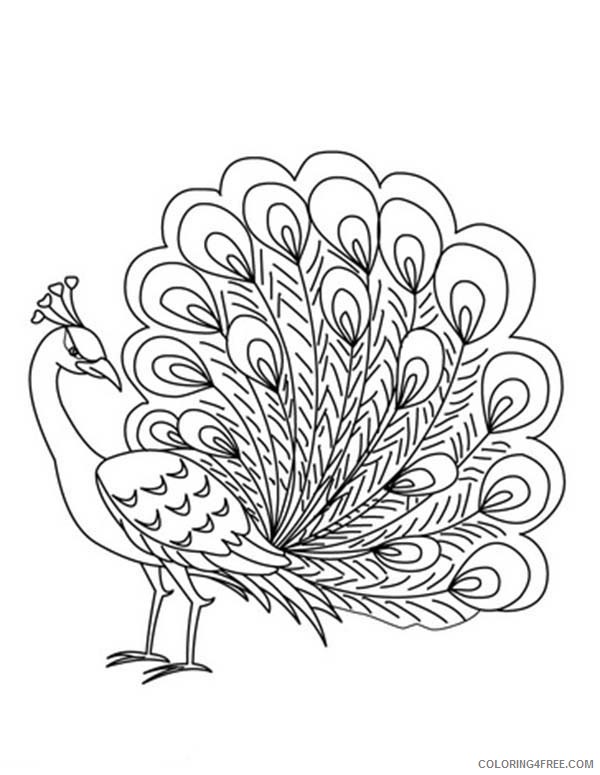 printable peacock coloring pages Coloring4free