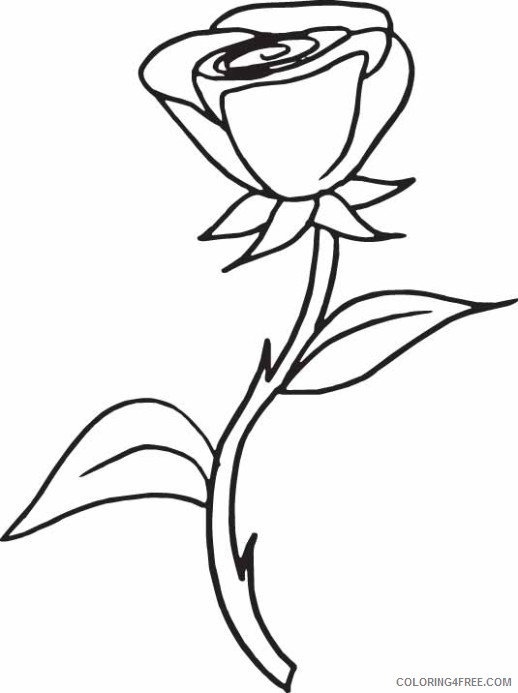 printable rose coloring pages for kids Coloring4free